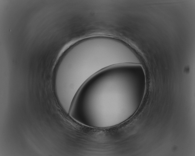 X0000091711222200708240949