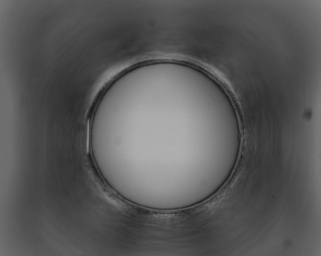 X0000091711223200708240949