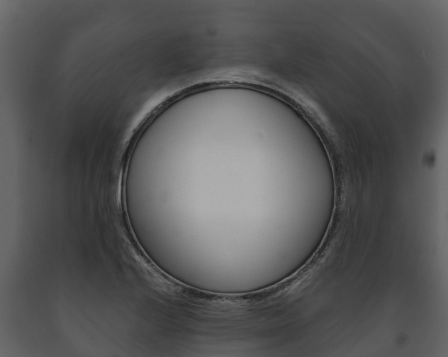X0000091711224200708240949