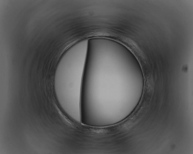 X0000091711225200708240949