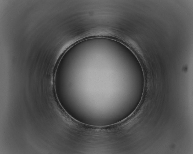 X0000091711226200708240949