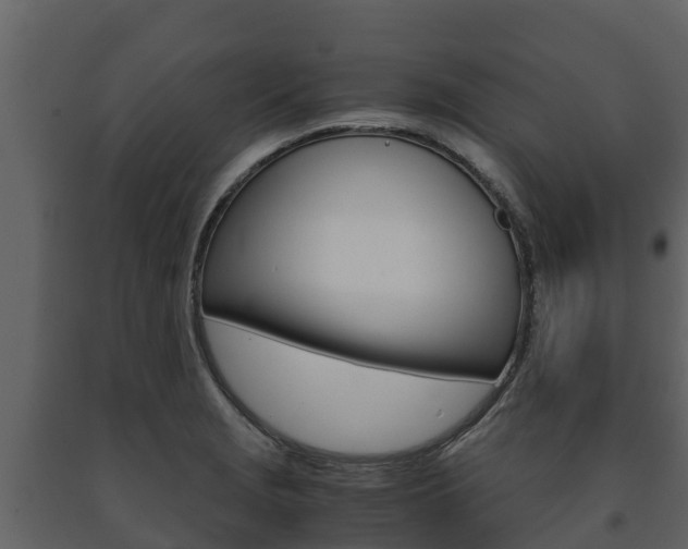 X0000091711229200708240949