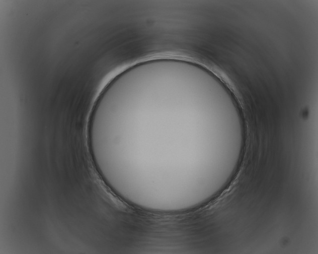 X0000091711230200708240949