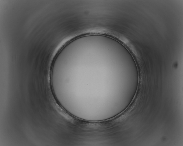 X0000091711232200708240949