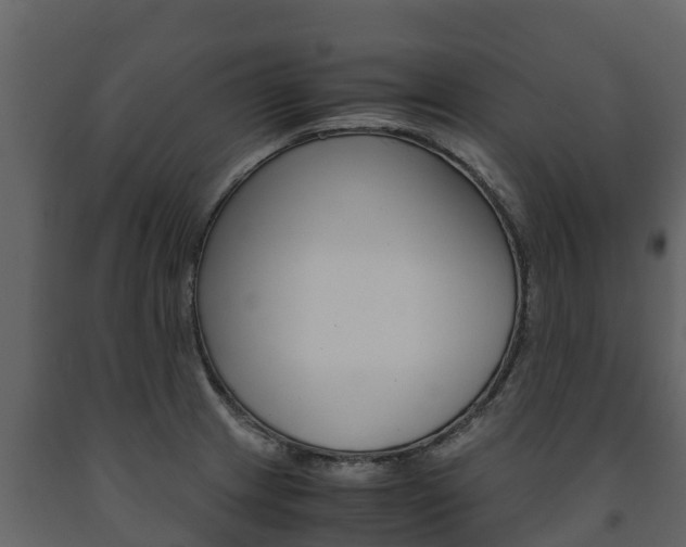 X0000091711233200708240949