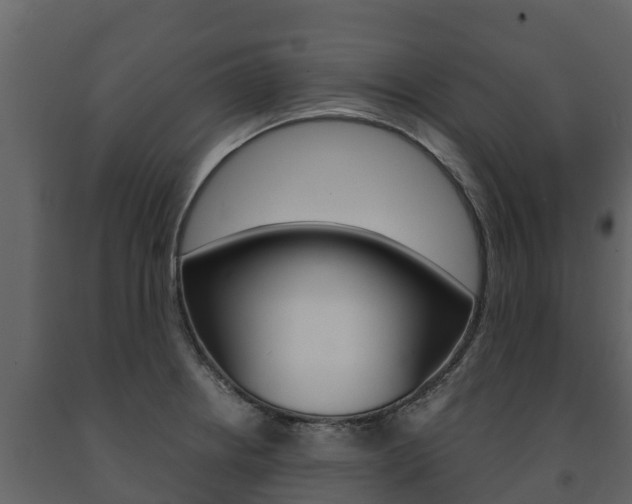X0000091711234200708240949