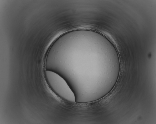 X0000091711235200708240949