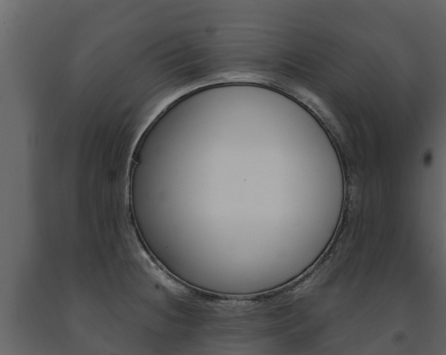 X0000091711236200708240949
