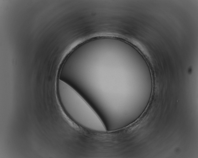 X0000091711237200708240949