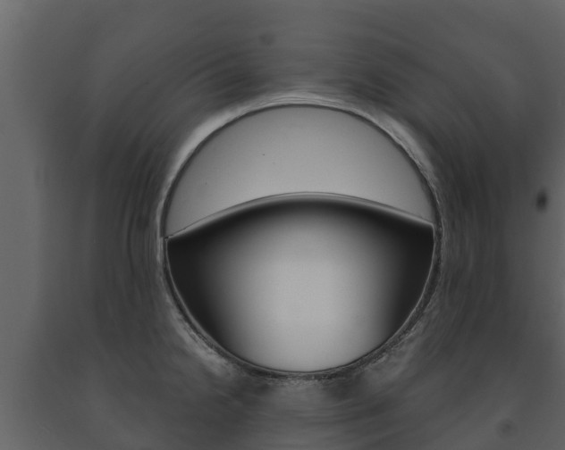 X0000091711238200708240949