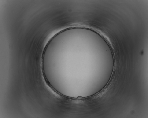 X0000091711239200708240949