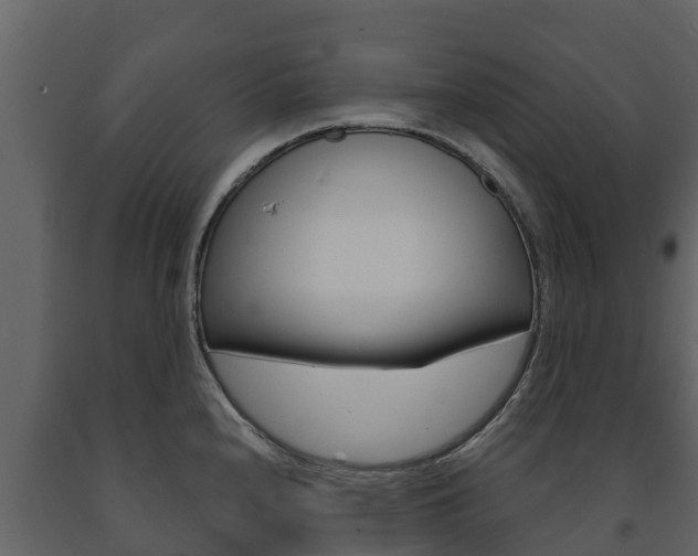 X0000091711240200708240949