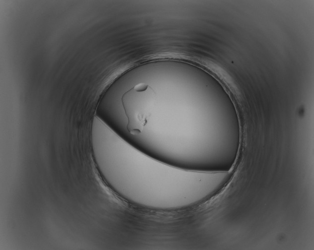 X0000091711241200708240949