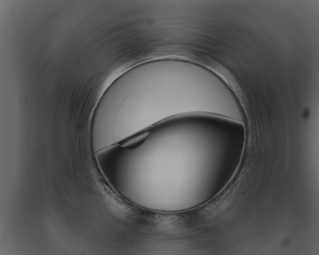 X0000091711242200708240949