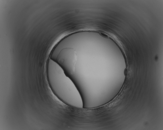 X0000091711243200708240949