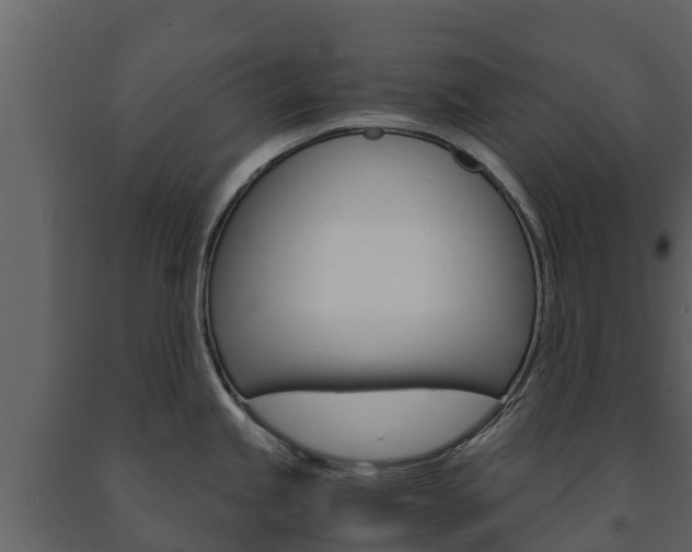X0000091711245200708240949