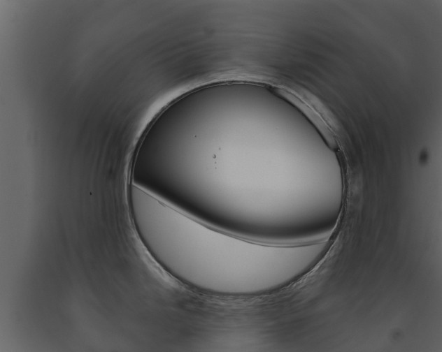 X0000091711246200708240949