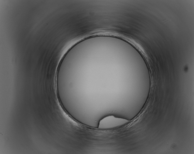 X0000091711247200708240949