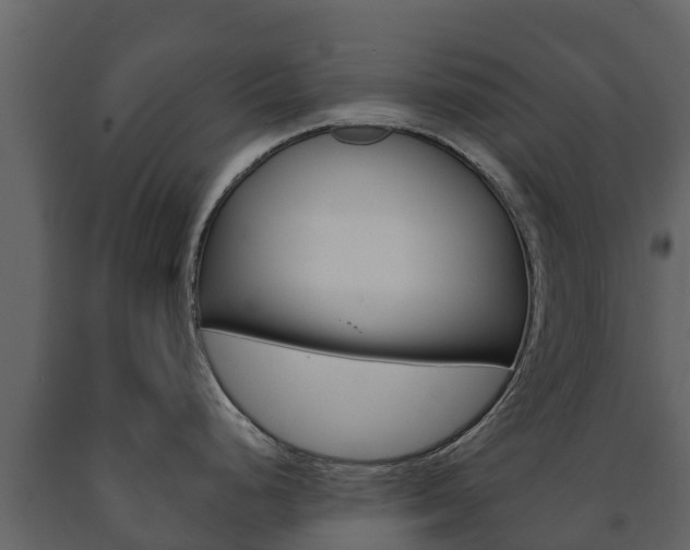 X0000091711248200708240949