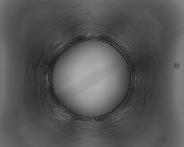X0000091711250200708240949
