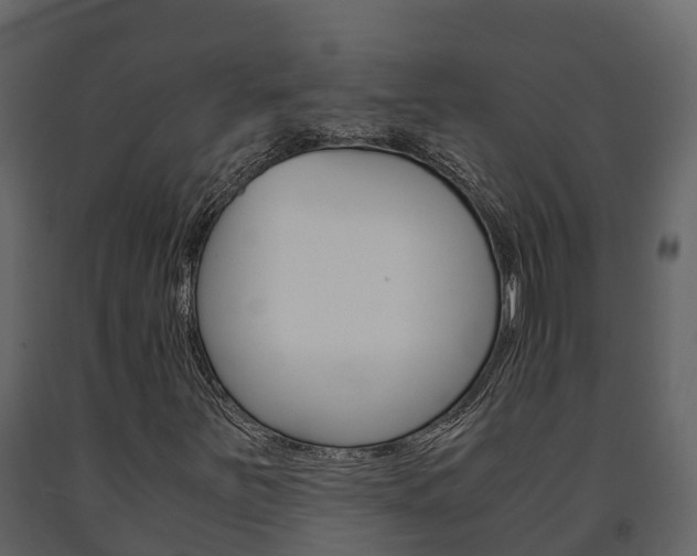 X0000091711251200708240949