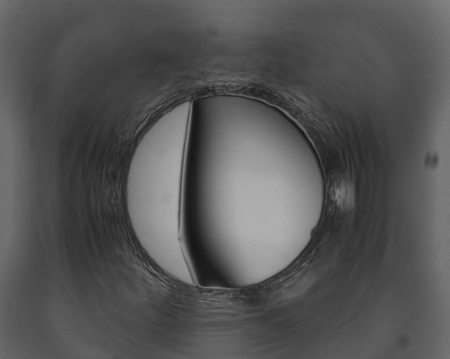 X0000091711252200708240949