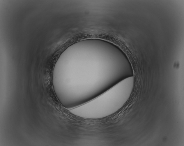 X0000091711253200708240949