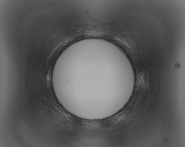 X0000091711254200708240949