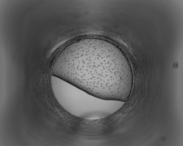 X0000091711255200708240949