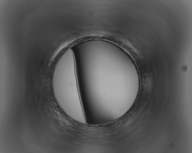 X0000091711256200708240949
