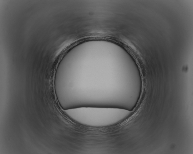 X0000091711259200708240948