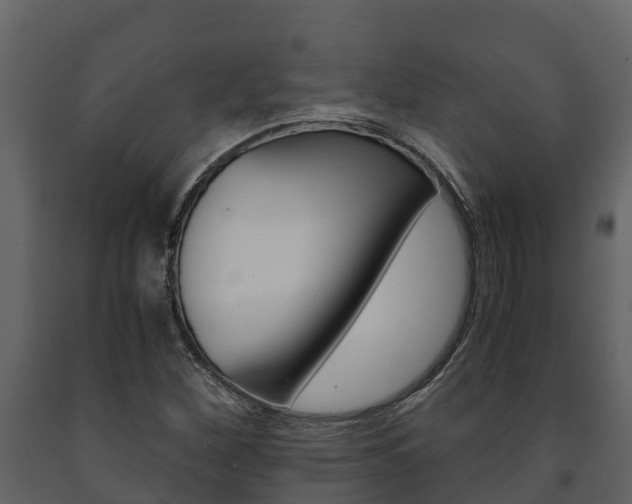 X0000091711260200708240948