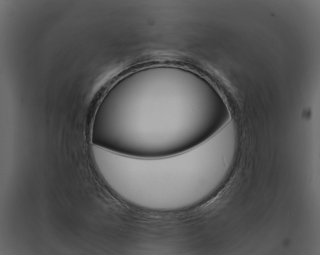 X0000091711261200708240948