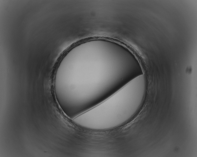 X0000091711264200708240948