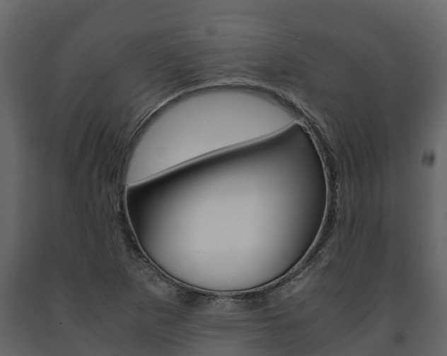 X0000091711265200708240948