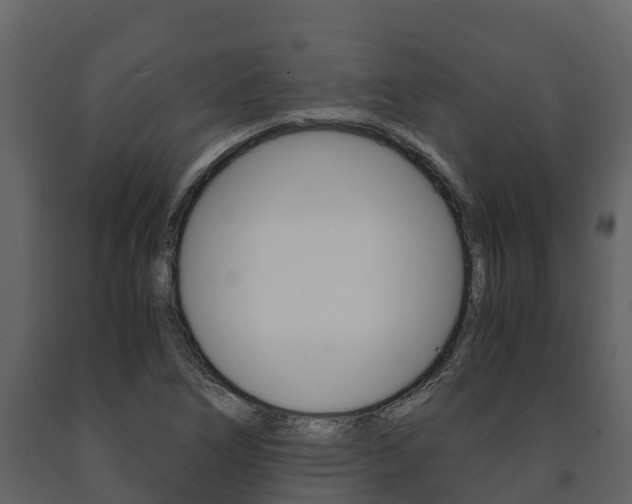 X0000091711266200708240948