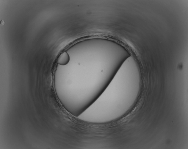 X0000091711267200708240948
