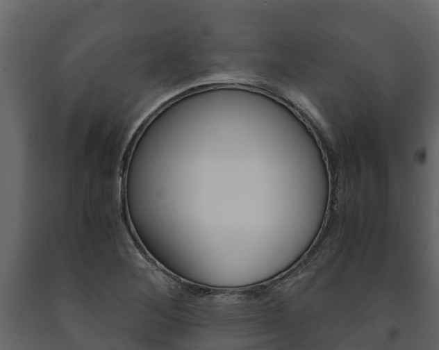 X0000091711268200708240948