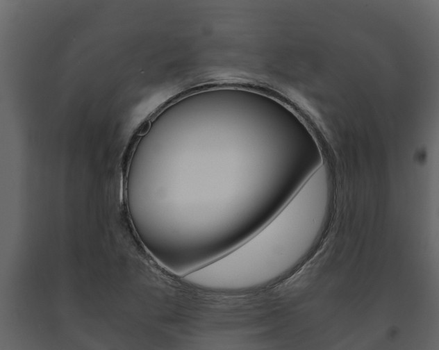 X0000091711269200708240948
