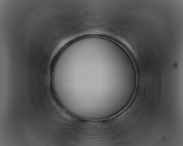 X0000091711270200708240948