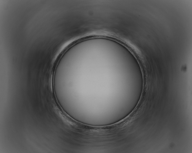 X0000091711272200708240948