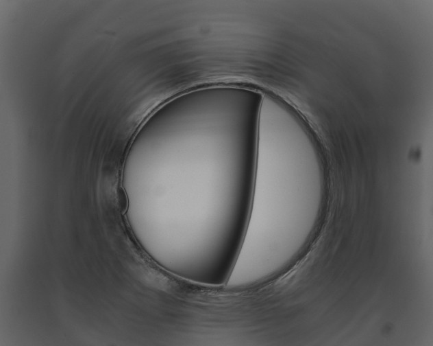 X0000091711273200708240948