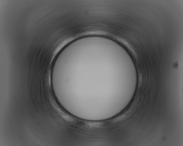 X0000091711274200708240948