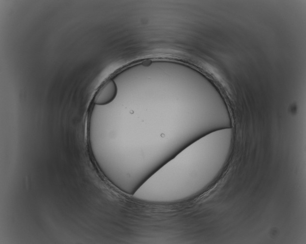 X0000091711275200708240948