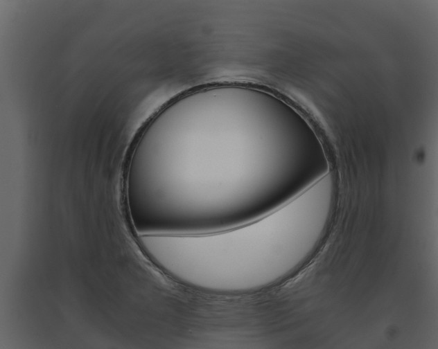 X0000091711277200708240948