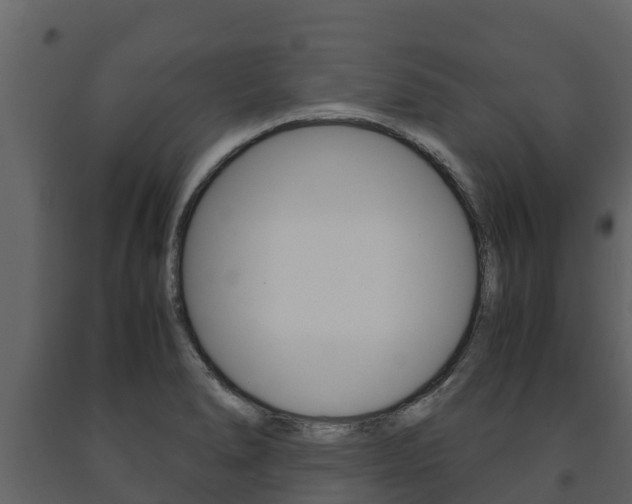 X0000091711278200708240948