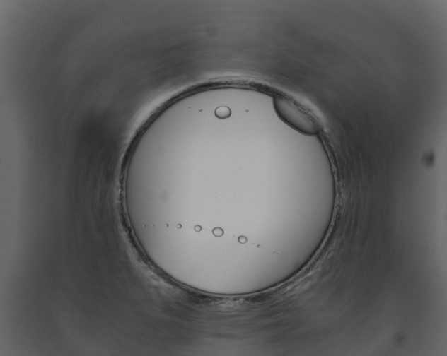 X0000091711279200708240948