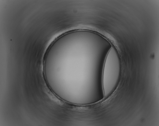 X0000091711280200708240948