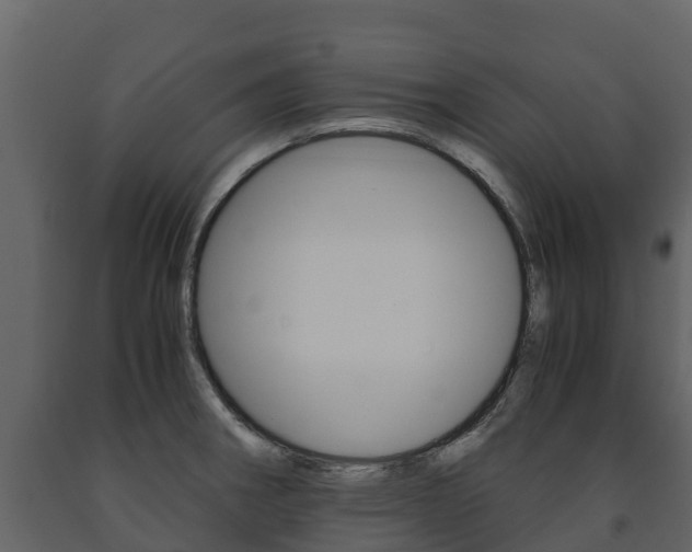 X0000091711282200708240948