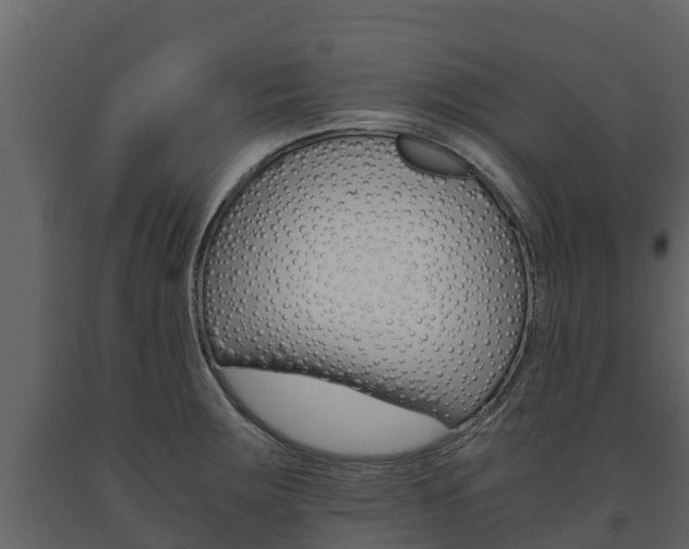 X0000091711283200708240948